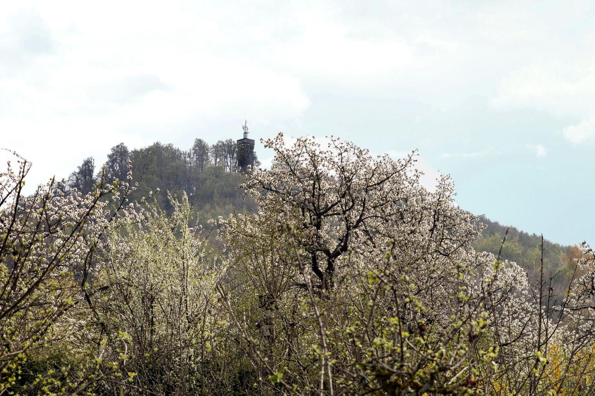 Ferienhaus "Am Staufenberg" Blankenburg  Esterno foto