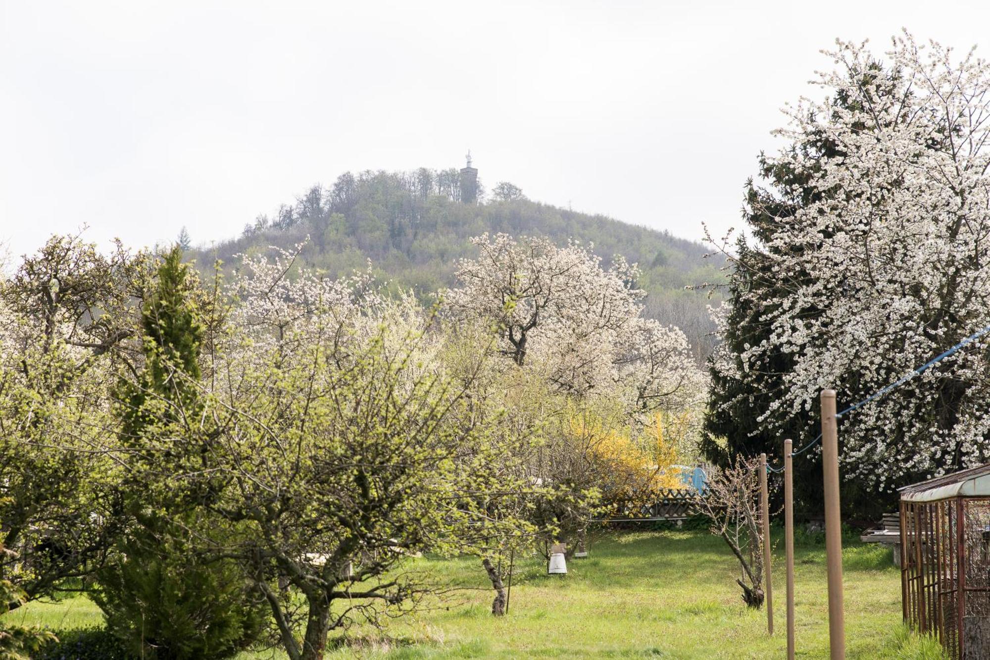 Ferienhaus "Am Staufenberg" Blankenburg  Esterno foto